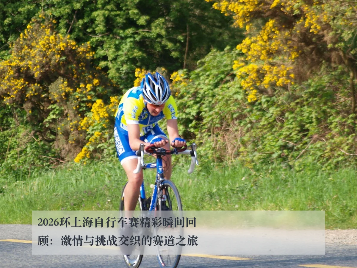 2026环上海自行车赛精彩瞬间回顾：激情与挑战交织的赛道之旅